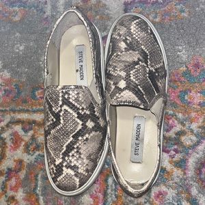 Steve Madden safary slip-on snakeskin fashion sneaker